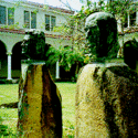 Campus :: University of Puerto Rico-Utuado