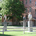pharmacy art :: The University of Montana
