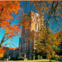 The University of Tennessee