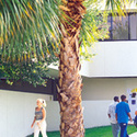 Campus Building :: Northwood University-Florida Education Center