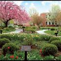 campus :: York College Pennsylvania