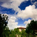 Soka University of America