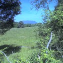 House Mountain :: Washington and Lee University