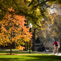 Wofford College Campus in Fall :: Wofford College
