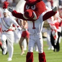 University of Arkansas Razorbacks :: University of Arkansas