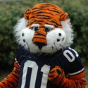 AuburnTigers :: Auburn University Main Campus
