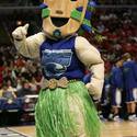 TexasAM_Islanders :: Texas A & M University-Corpus Christi