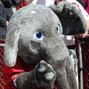 CrimsonTide_BigAl :: The University of Alabama