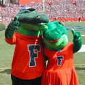 UFGators :: University of Florida