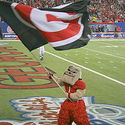 GeorgiaBulldogs :: University of Georgia