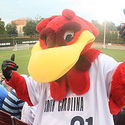 USCGamecocks :: University of South Carolina-Columbia