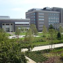 Harriman Quad on the university's South Campus :: University at Buffalo