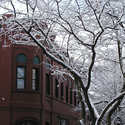 New Saint Andrews College :: New Saint Andrews College