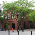 New Saint Andrews College