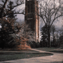 Michigan State University 2