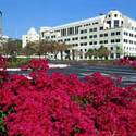 California State University-San Marcos
