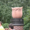 Temple University