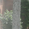 College building :: Jefferson Davis Community College