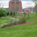 South University- Park :: South University-Montgomery