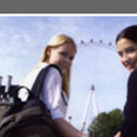 University logo :: Schiller International University