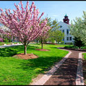 Montclair State University 2