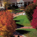 Administration building :: Western New England College