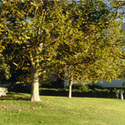 Campus Building :: American Jewish University
