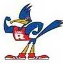 Roadrunners :: University of Wisconsin-Richland