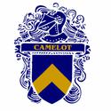 Logo :: Camelot College