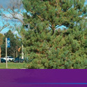 College Building :: Northwest Nazarene University