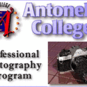 Antonelli College