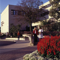 Mount Carmel College of Nursing