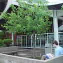 The Student Union :: Maharishi University of Management