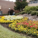 Carteret Community College