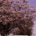 Catawba Valley Community College