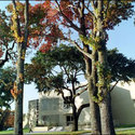 trinvalley (athens) :: Trinity Valley Community College