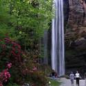 Toccoa Falls :: Toccoa Falls College