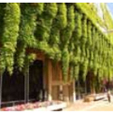 Library :: Crafton Hills College