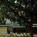 Erb Hall :: Hesston College