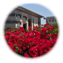 California State University-San Marcos 2