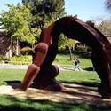 The Acrobat :: Diablo Valley College