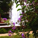 Campus Building :: Southern Wesleyan University