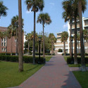 Palm Court :: Loyola University New Orleans