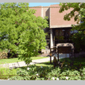 College of Visual Arts :: College of Visual Arts