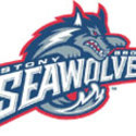 Stony Brook University