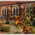 Alumni hall and berries :: University of Dubuque