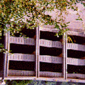 building :: Marygrove College