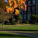campus :: Adelphi University