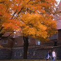 Outside School :: Arcadia University