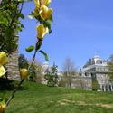 campus :: Swarthmore College